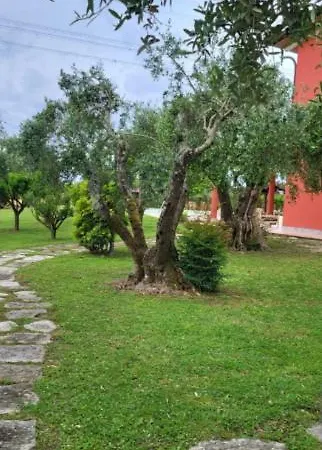 Bice In Versilia