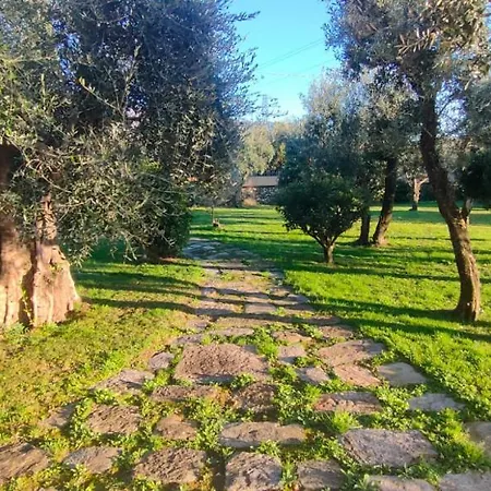 Bice In Versilia Villa Pietrasanta