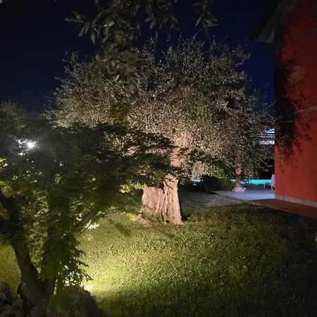 Bice In Versilia Pietrasanta